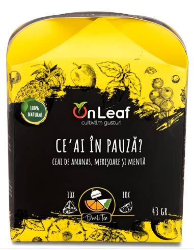 Ceai de Pauză — ananas, merișoare și mentă | GCS