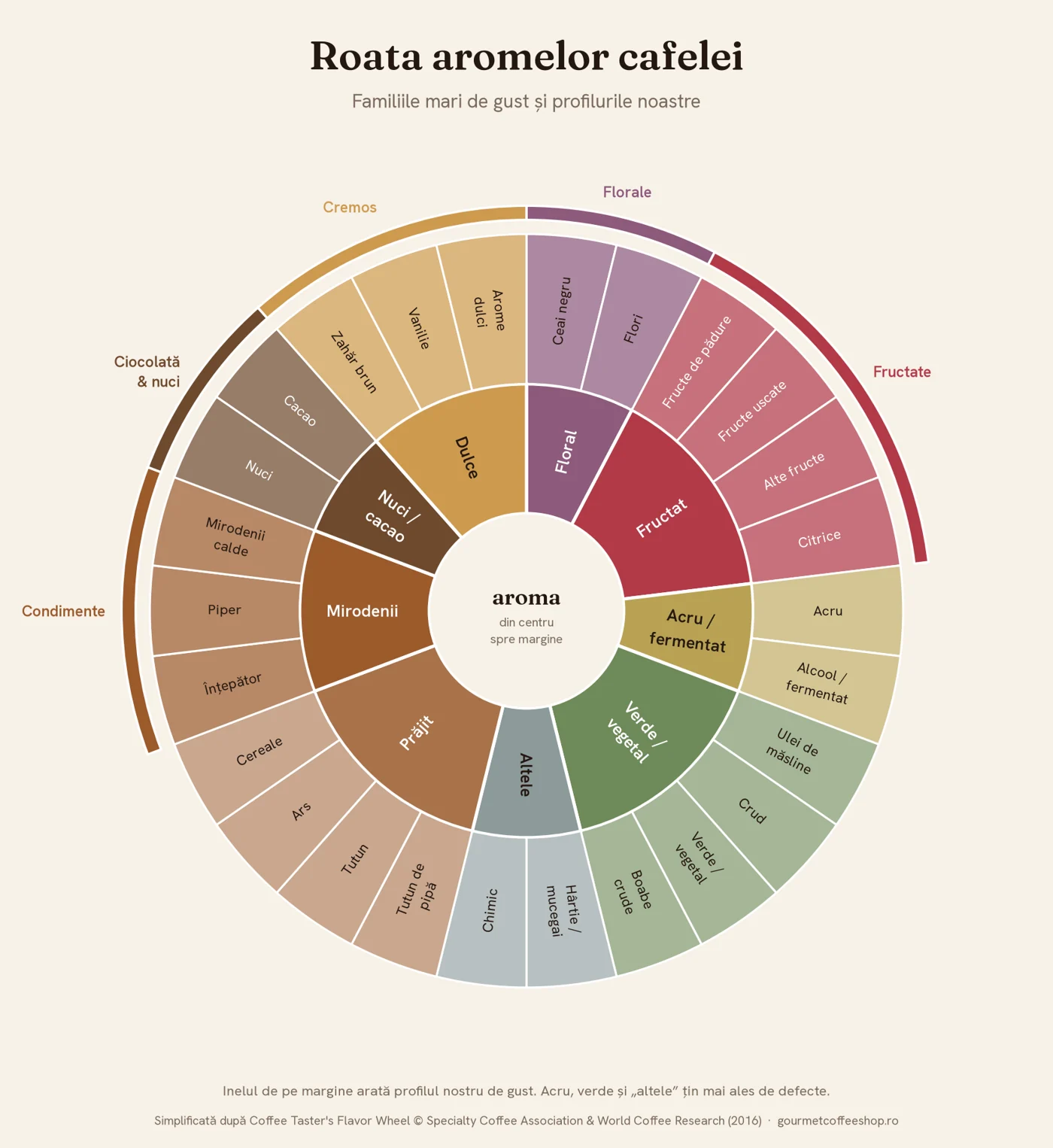 Roata aromelor cafelei: familiile de gust, de la fructat și floral la nuci, cacao și mirodenii, cu profilurile Gourmet Coffee Shop pe margine